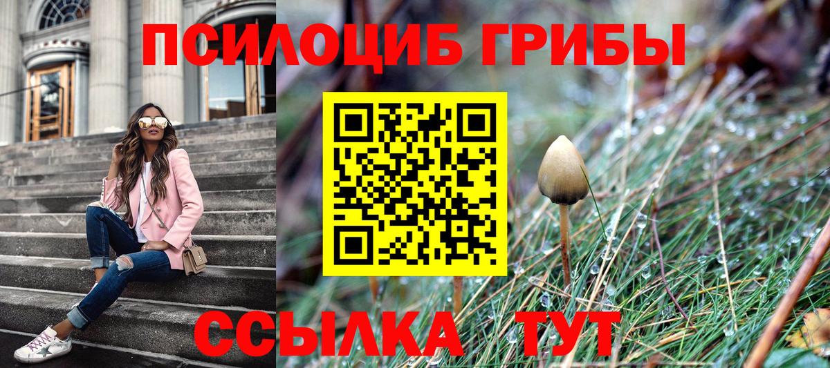 где можно купить   Псилоцибиновые грибы мицелий  Вход с VPN  Нижний Тагил 